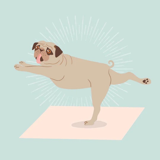 Dog Yoga 2024 Calendar Ryft
